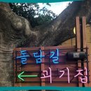 애월 돌담길 이미지