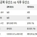 부동산 재테크 핵심 공략 이미지
