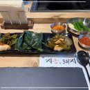 지금,돼지 이미지