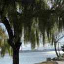 덕봉주르 이미지