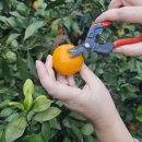 꼭지내농장 이미지