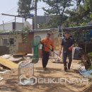 사하구-22 이미지