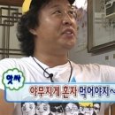 오묘 고양이카페호텔미용 이미지