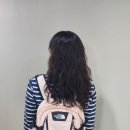 [소비기록] 노스페이스 미니샷 피치 내돈내산 후기 (핫샷 크기비교, 노트북 수납)