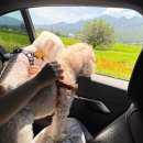 스테이믈믈믈 이미지