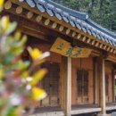 고요히 민박 이미지