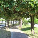 청림동-1 이미지