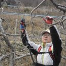 동산농원 이미지