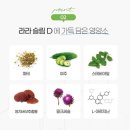 &#39;라라코리아&#39; &#34;슬림D&#34;로 붓기, 체지방 OUT!