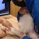 가온동물의료센터 이미지