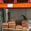 미국 코스코 매장에서 판매되는 계란 이미지