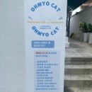 오묘 고양이카페호텔미용 이미지