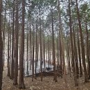 성주산자연휴양림 이미지