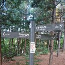 방배응봉 이미지