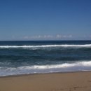 사랑과 기쁨 이미지