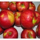 행복나름이 이미지