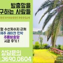 제주레이크 민박 | [애월 방충망] 제주 레이크민박 주름방충망 시공 후기