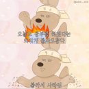 보선약국 | 10월 일상(2) - 지나간 10월 추억하며 -