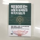 빅데이터는 어떻게 기업의 무기가 되는가 | 빅데이터는 어떻게 마케팅의 무기가 되는가 &lt;독서후기&gt;