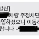 주정차단속-12 이미지