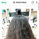 까까보까 이미지