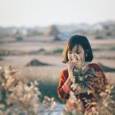 청계모텔 | 코리아 그랜드 페스티벌 완전 정복, 숙박/교통 50% 할인으로 10월 11월 가을 여행 황금 시즌 잡는 법