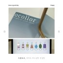 마방로6길 7-33 | 여의도체형분석 후기, 오콜로르퍼스널핏에서 골격진단 받고왔어요!!