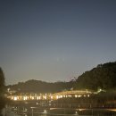 정우법조 네이버블로그