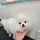 뭉치