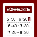 캥거루무에타이