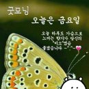 차아빠 이미지