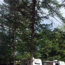 양평 휴 캠핑 워크샵 이미지