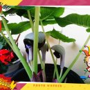 무지개공원2 이미지