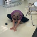이준열대어 이미지