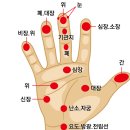 건강 지킴이 수지침 이미지