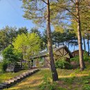 고노동길 이미지