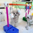 플레이멍 이미지