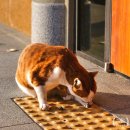 그루밍라운지 | 고즈넉한 경주 분위기맛집 카페 경주의시간 카페라운지