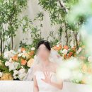 아펠가모잠실 본식스냅 다섯번째계절 후기 추천인코드 241027