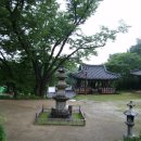 도피안사 이미지