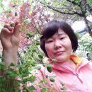 곰배령새소리 이미지