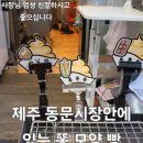 동빵 제주동문시장점 이미지