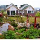 밤하늘별펜션 이미지