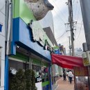 싱글벙글복어 | [구미대표 맛집] 드디어 가본 '싱글벙글복어 본점' 방문 (내돈내산)