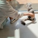 590컴퍼니 이미지