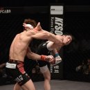 참피온체육관 (태권도) 이미지