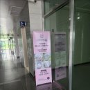 피그월드 이미지