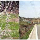 모덕체육공원 테니스장 이미지