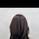 수헤어미