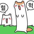 저스트텐동NC대전